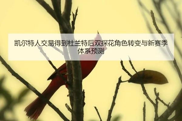 kai-er-te-ren-jiao-yi-de-dao-du-lan-te-hou-shuang-tan-hua-jue-se-zhuan-bian-yu-xin-sai-ji-ti-xi-yu-ce-3-730.jpg