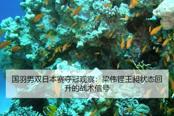 国羽男双日本赛夺冠观察：梁伟铿王昶状态回升的战术信号
